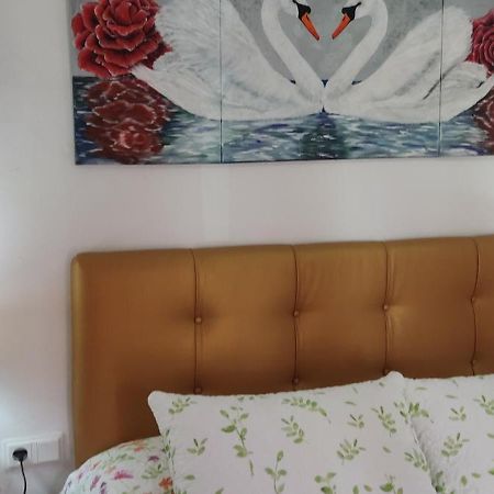 Apartamentos Candil By Mila Prieto El Bosque Zewnętrze zdjęcie